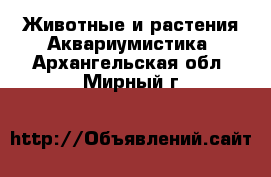 Животные и растения Аквариумистика. Архангельская обл.,Мирный г.